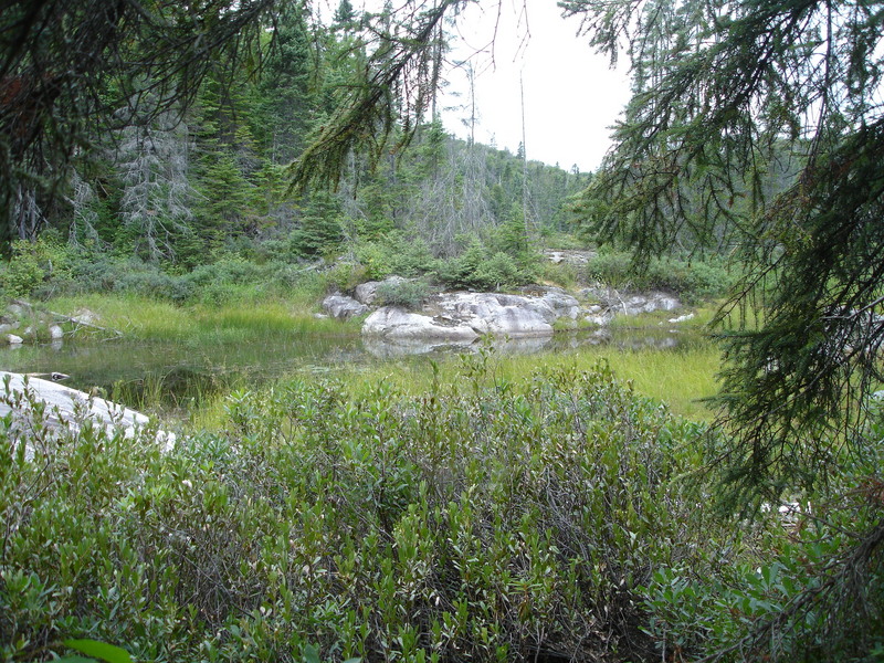 West from Confluence Point