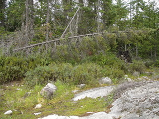 #1: General View of Confluence Point