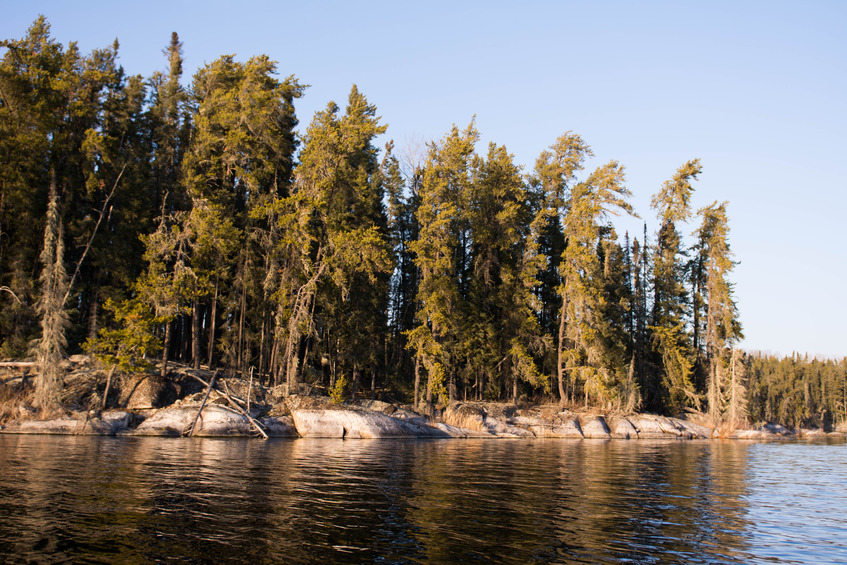 Typical shoreline on the lake