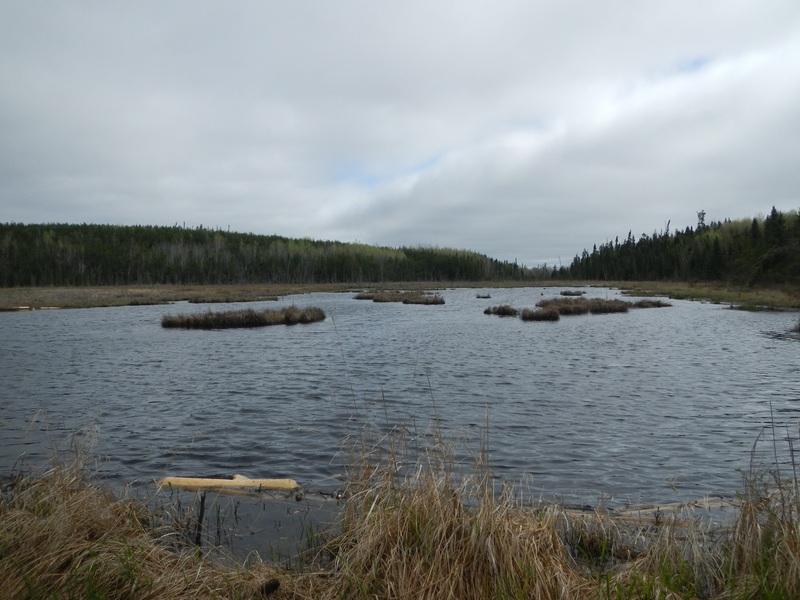 Nearby lake