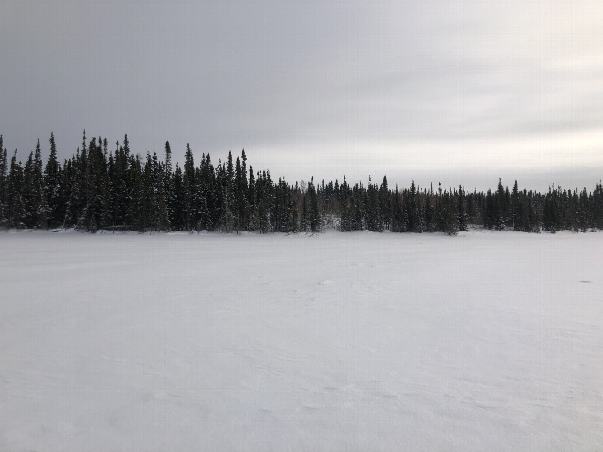 View East from confluence