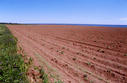 #6: A nearby farm on the shore of the Gulf of St. Lawrence.