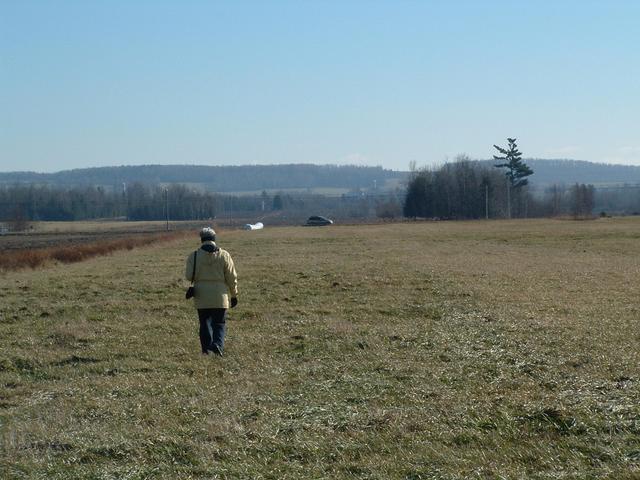 Pas loin du chemin / Close to road