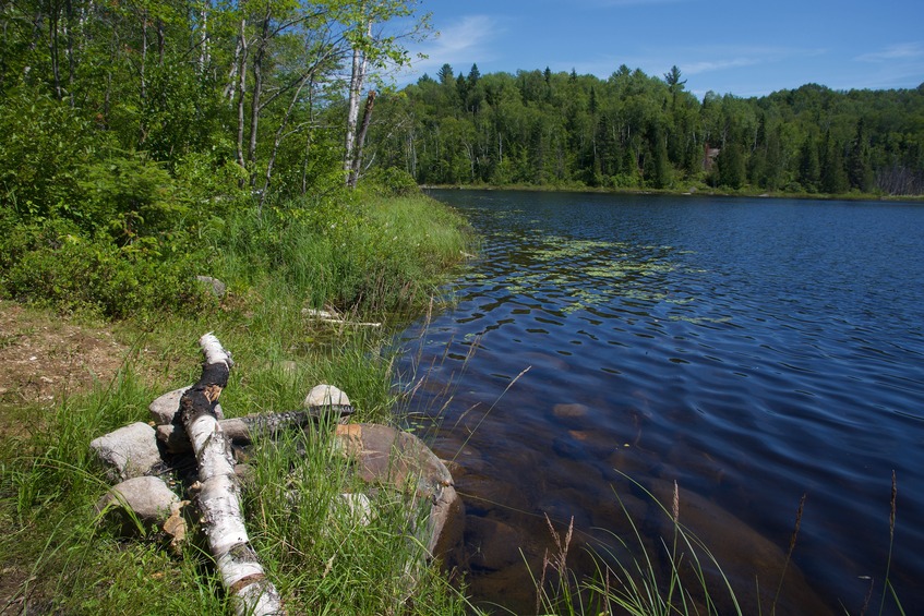 The shoreline of Lac Long, about 400 m WSW of the point