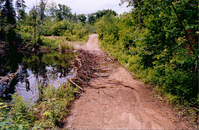 One kilometer from the confluence