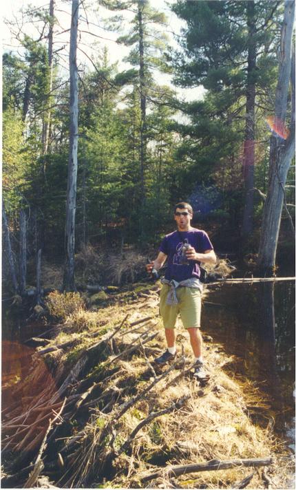 Liam traverses one of the many beaver dams in the area