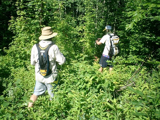 Paul attempting to "breast stroke" through the forest.