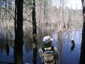 #9: Paul contemplating the best way around the Beaver dam.