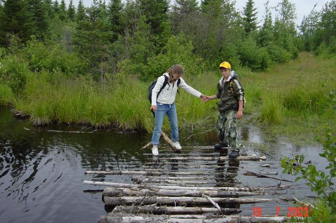 Floating bridge over a part of the swamp