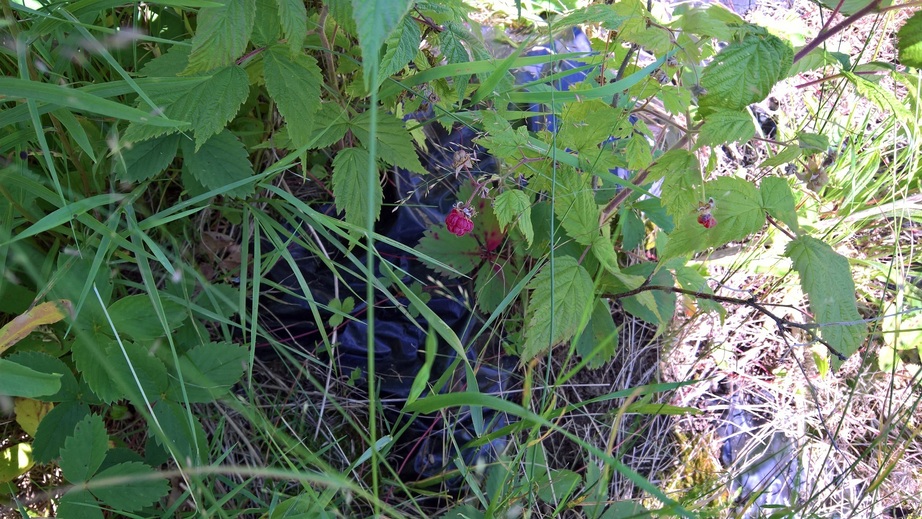 Raspberry on the confluence point