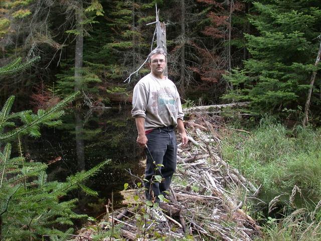 Jacques Gagnon on the beaver`s dam