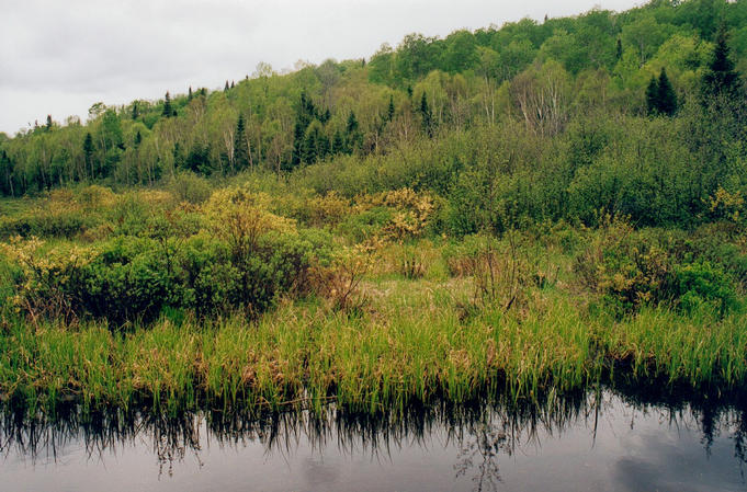 The creek on the other side