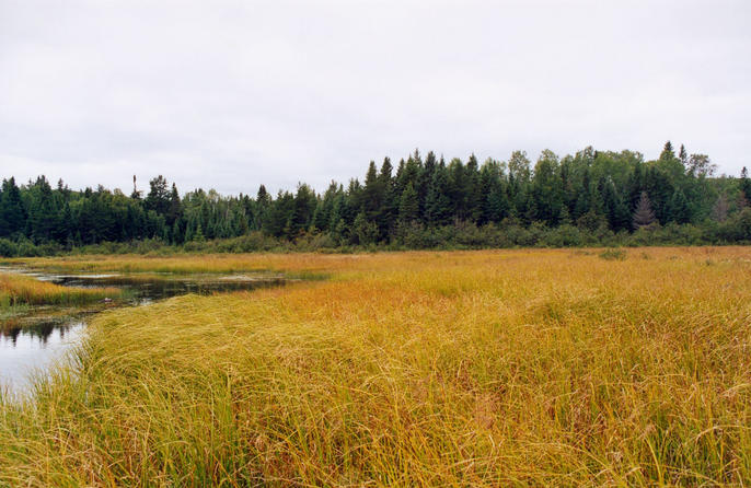 The confluence looking south