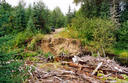 #5: A broken bridge (2km from the point)