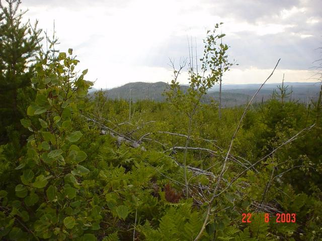 Panorama vers l'ouest - View towards west