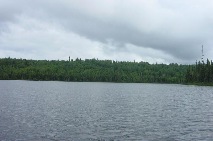 This confluence is on the east side of Lake Moore