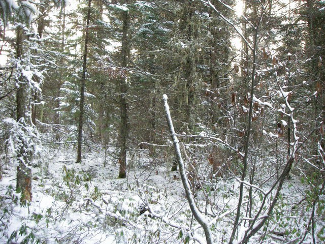 Vue générale de la confluence / General view of the confluence point