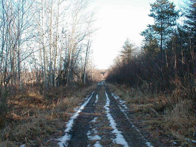 Le sentier vers la confluence / The trail going to the confluence