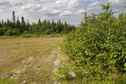 #2: View North (from the clearing, 13 metres from the confluence point)