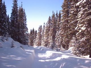 #1: Le sentier a 1.45 km au SE du confluent - The trail, 1.45km SE of the confluence