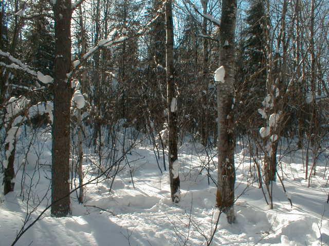 Vue générale de la confluence / General view of the confluence point