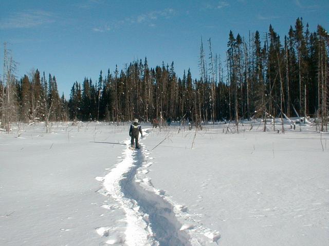 Le sentier / The trail