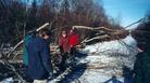 #5: Making our way through fallen trees