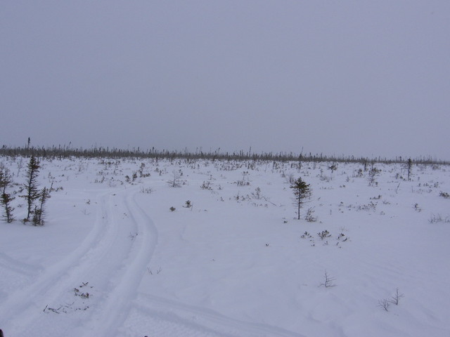 Vue de l'Est - East view