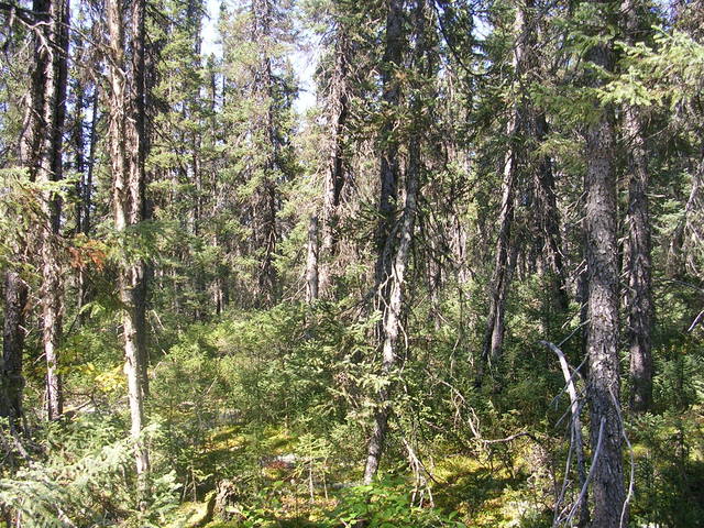 vue générale en direction nord-ouest / general view in north-western direction