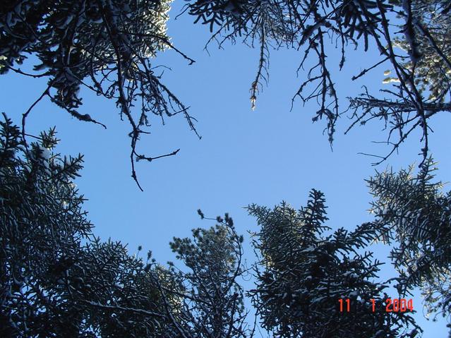 sky above confluence