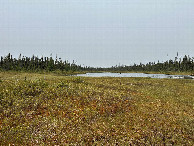 #2: Looking north from the confluence point