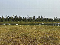 #3: Looking east from the confluence point