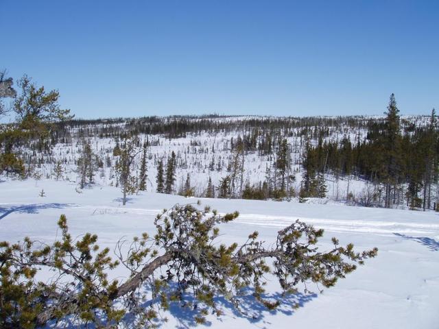 View towards the North - Vue vers le Nord