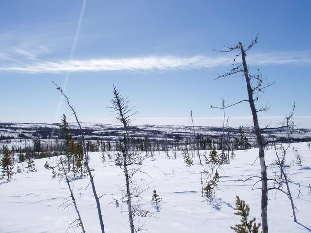 View towards the South - Vue vers le Sud