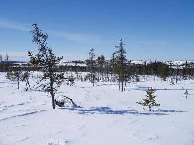 View towards the West - Vue vers l'Ouest