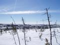 #3: View towards the South - Vue vers le Sud