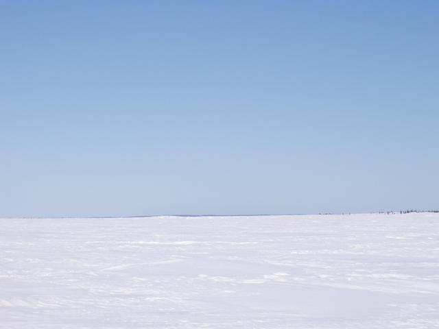 General area of the confluence and view towards the North - La confluence et la vue vers le Nord