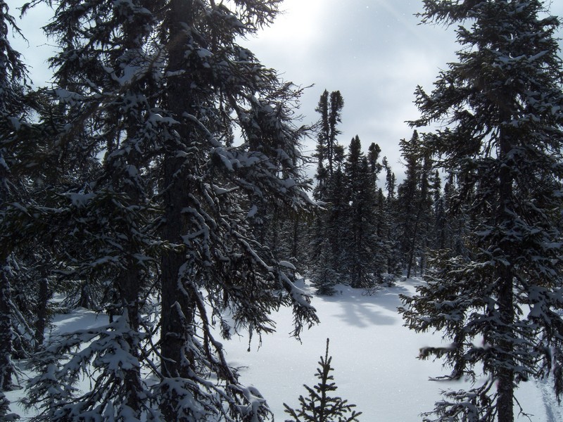 Vue vers le sud / View to the South