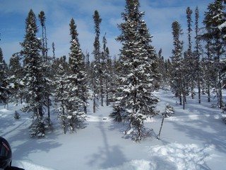 #1: Vue vers le nord / View to the North