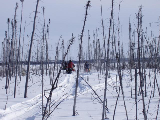 Hors piste vers la confluence N54 W77 / Outbound track towards the confluence