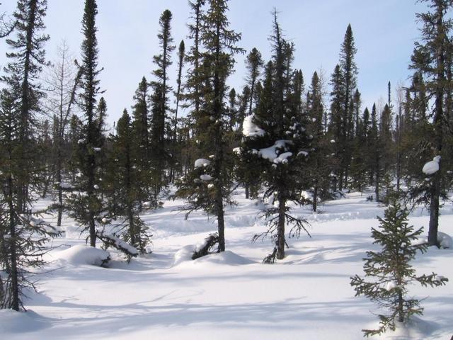 View West from confluence vue Ouest