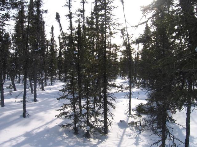 View South from confluence vue Sud