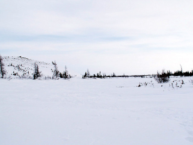 View of the confluence site