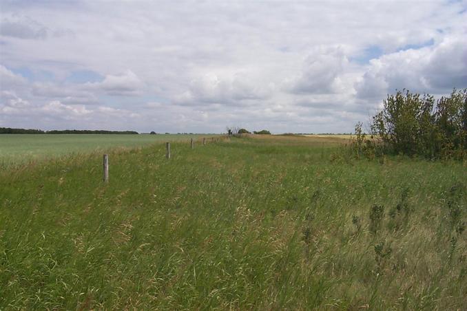 The fence along the border.  Canada on the left, USA on the right.