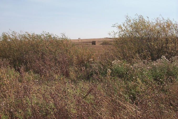 Looking east from the confluence.