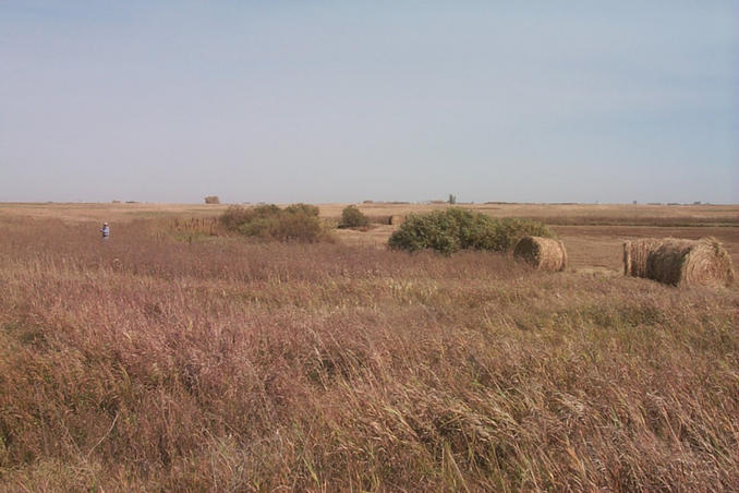 View from the border looking north.  Alan can be seen standing on the confluence point.