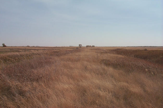 Looking east along the Canada/USA border.