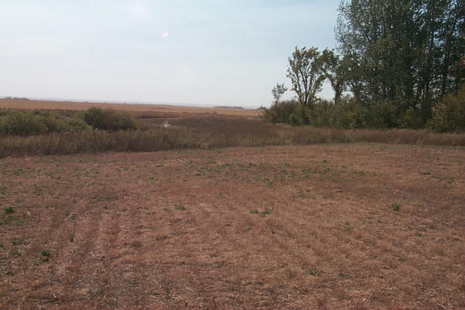 Looking south at the confluence in the center of the picture.  That's North Dakota in the background.