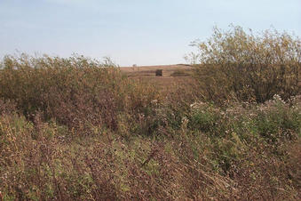 #1: Looking east from the confluence.