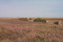 #2: View from the border looking north.  Alan can be seen standing on the confluence point.